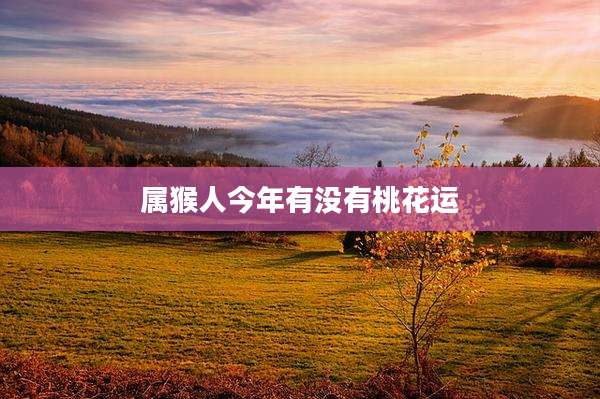 属猴人今年有没有桃花运