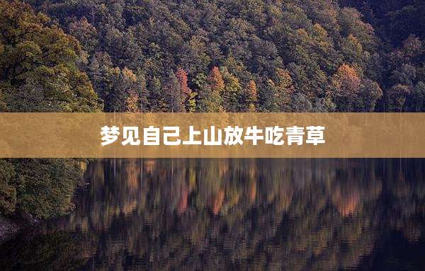 梦见自己上山放牛吃青草