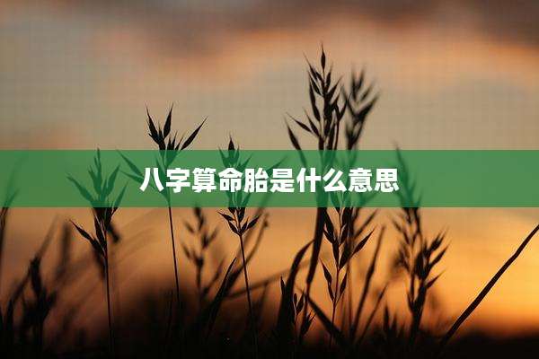 八字算命胎是什么意思