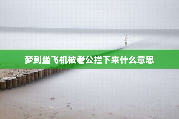 梦到坐飞机被老公拦下来什么意思