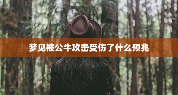 梦见被公牛攻击受伤了什么预兆