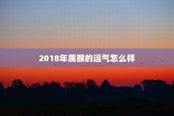 2018年属猴的运气怎么样