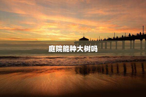 庭院能种大树吗