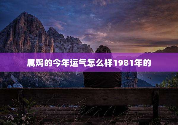 属鸡的今年运气怎么样1981年的