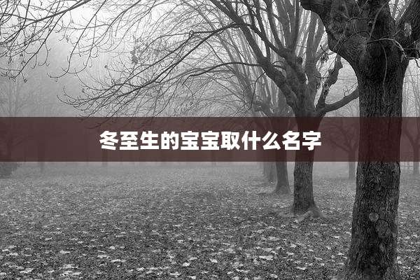 冬至生的宝宝取什么名字
