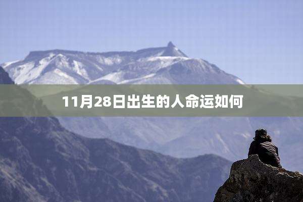 11月28日出生的人命运如何