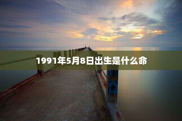 1991年5月8日出生是什么命