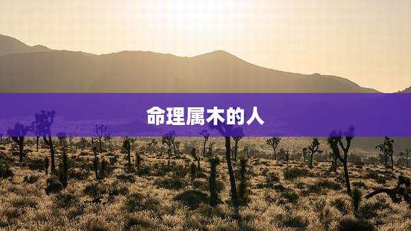 命理属木的人