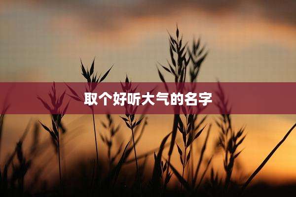 取个好听大气的名字