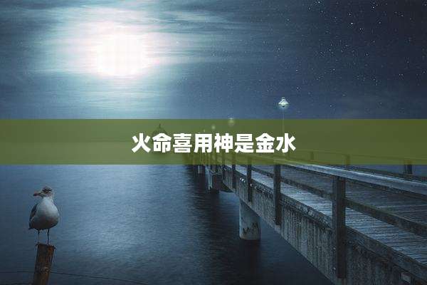 火命喜用神是金水