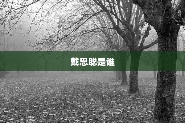 戴思聪是谁