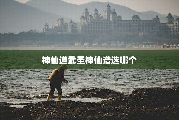 神仙道武圣神仙谱选哪个