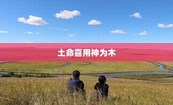 土命喜用神为木