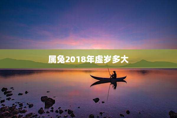属兔2018年虚岁多大