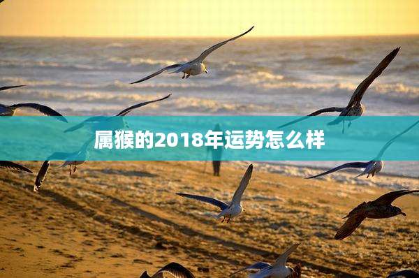属猴的2018年运势怎么样