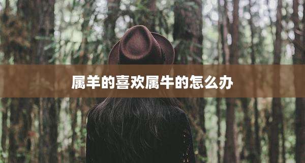 属羊的喜欢属牛的怎么办