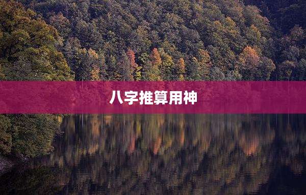 八字推算用神