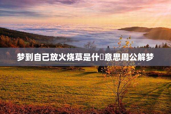 梦到自己放火烧草是什麼意思周公解梦