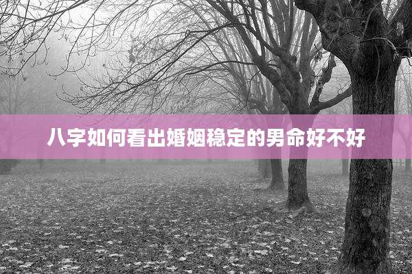八字如何看出婚姻稳定的男命好不好