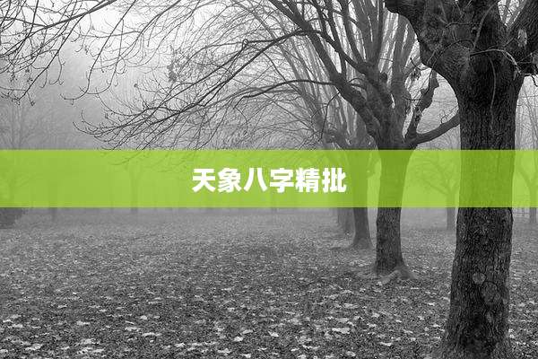 天象八字精批