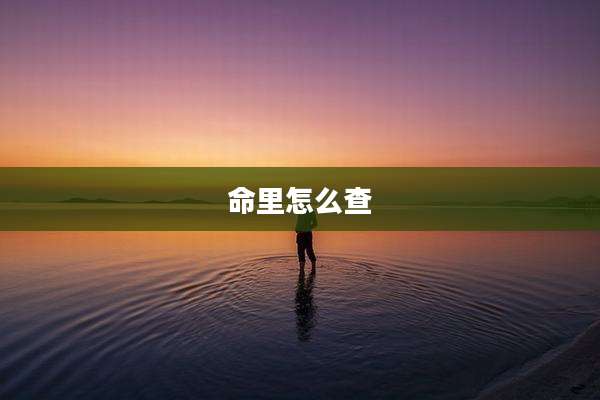 命里怎么查