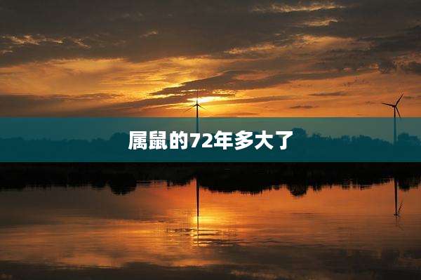 属鼠的72年多大了