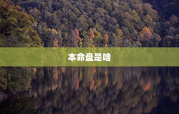 本命盘是啥