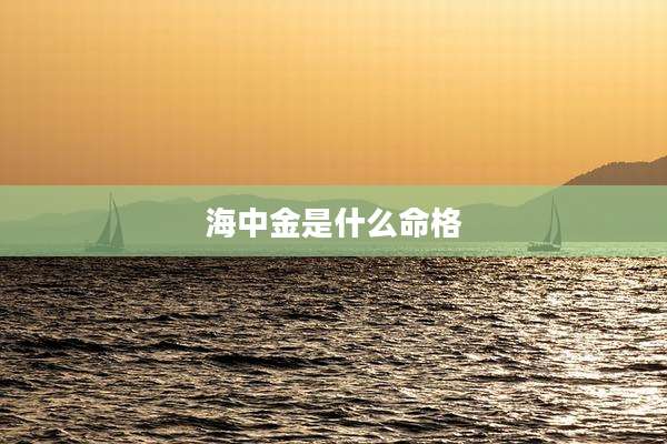 海中金是什么命格