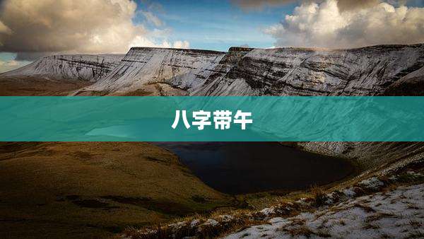 八字带午
