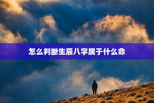 怎么判断生辰八字属于什么命