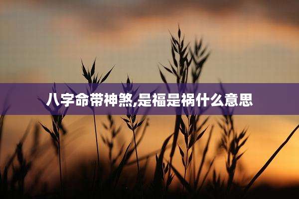 八字命带神煞,是福是祸什么意思