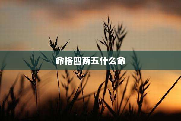 命格四两五什么命