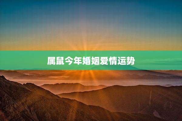 属鼠今年婚姻爱情运势
