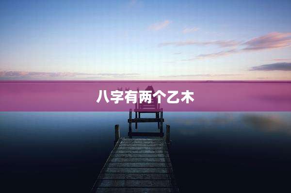 八字有两个乙木