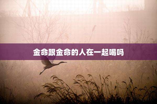 金命跟金命的人在一起喝吗