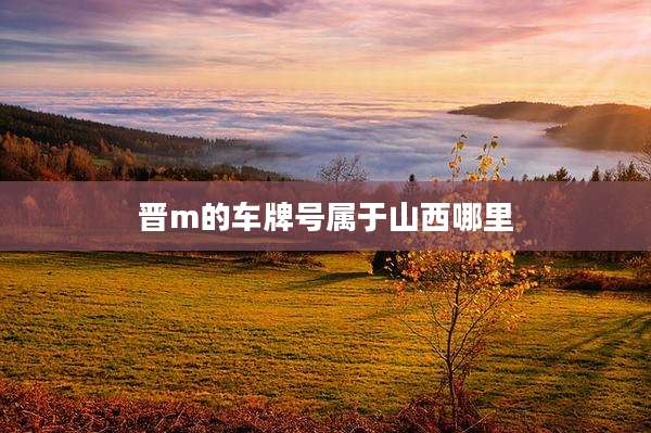 晋m的车牌号属于山西哪里