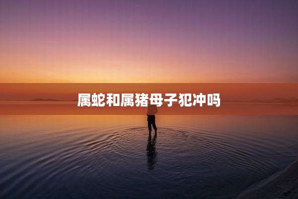 属蛇和属猪母子犯冲吗