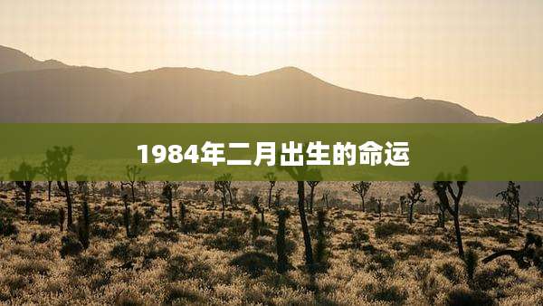 1984年二月出生的命运
