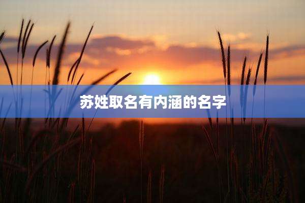 苏姓取名有内涵的名字