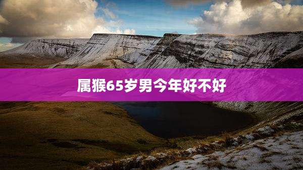 属猴65岁男今年好不好