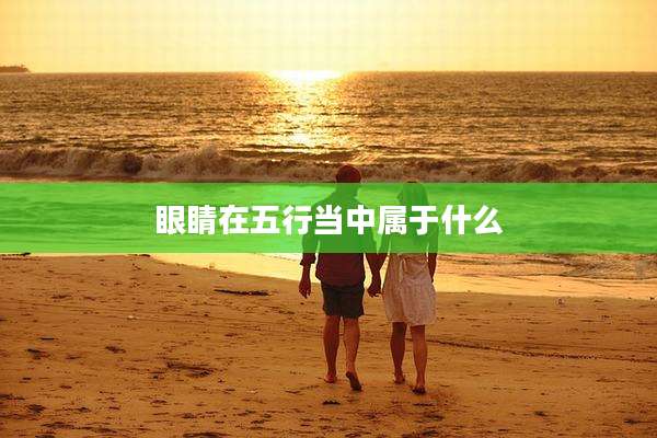 眼睛在五行当中属于什么