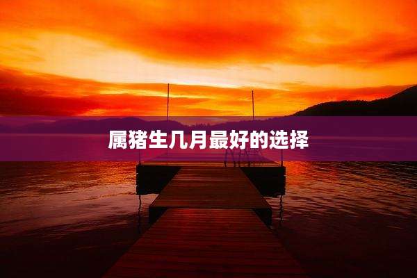 属猪生几月最好的选择