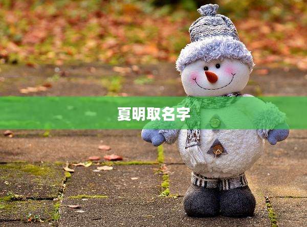 夏明取名字