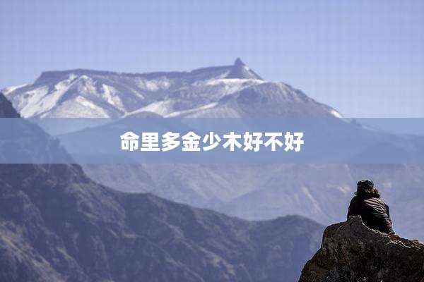 命里多金少木好不好