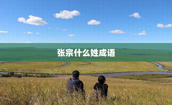 张宗什么姓成语