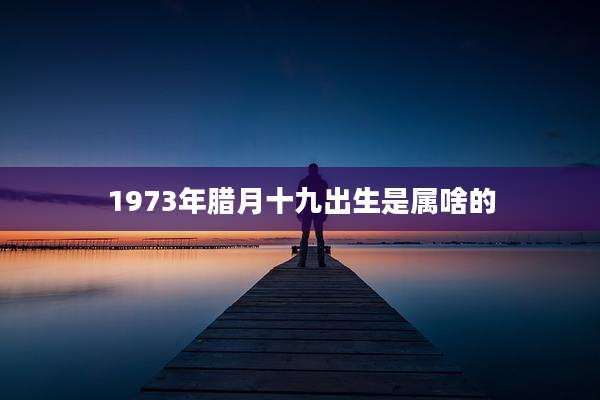 1973年腊月十九出生是属啥的