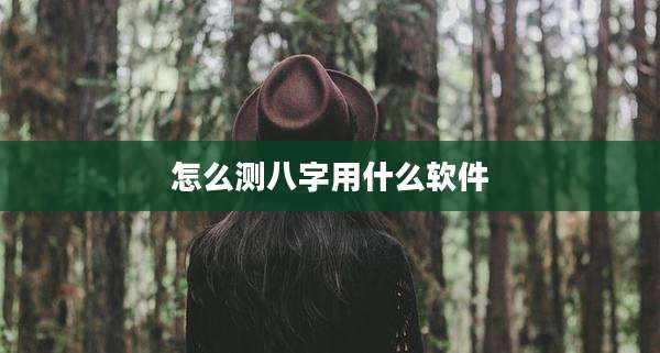 怎么测八字用什么软件