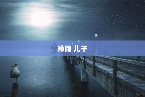 孙俪 儿子