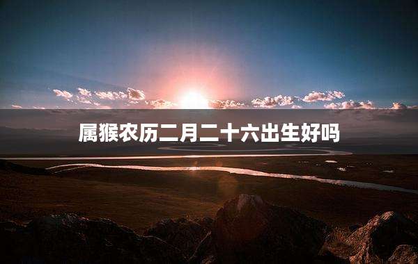 属猴农历二月二十六出生好吗
