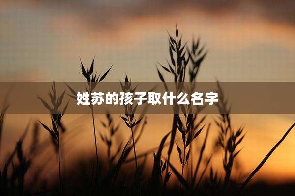 姓苏的孩子取什么名字